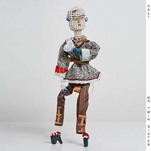 the album cover for Mr Twin Sister - Salt