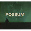 the album cover for Radiophonic Workshop - Possum