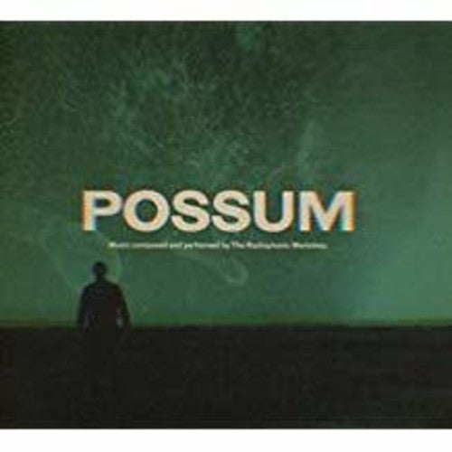 the album cover for Radiophonic Workshop - Possum