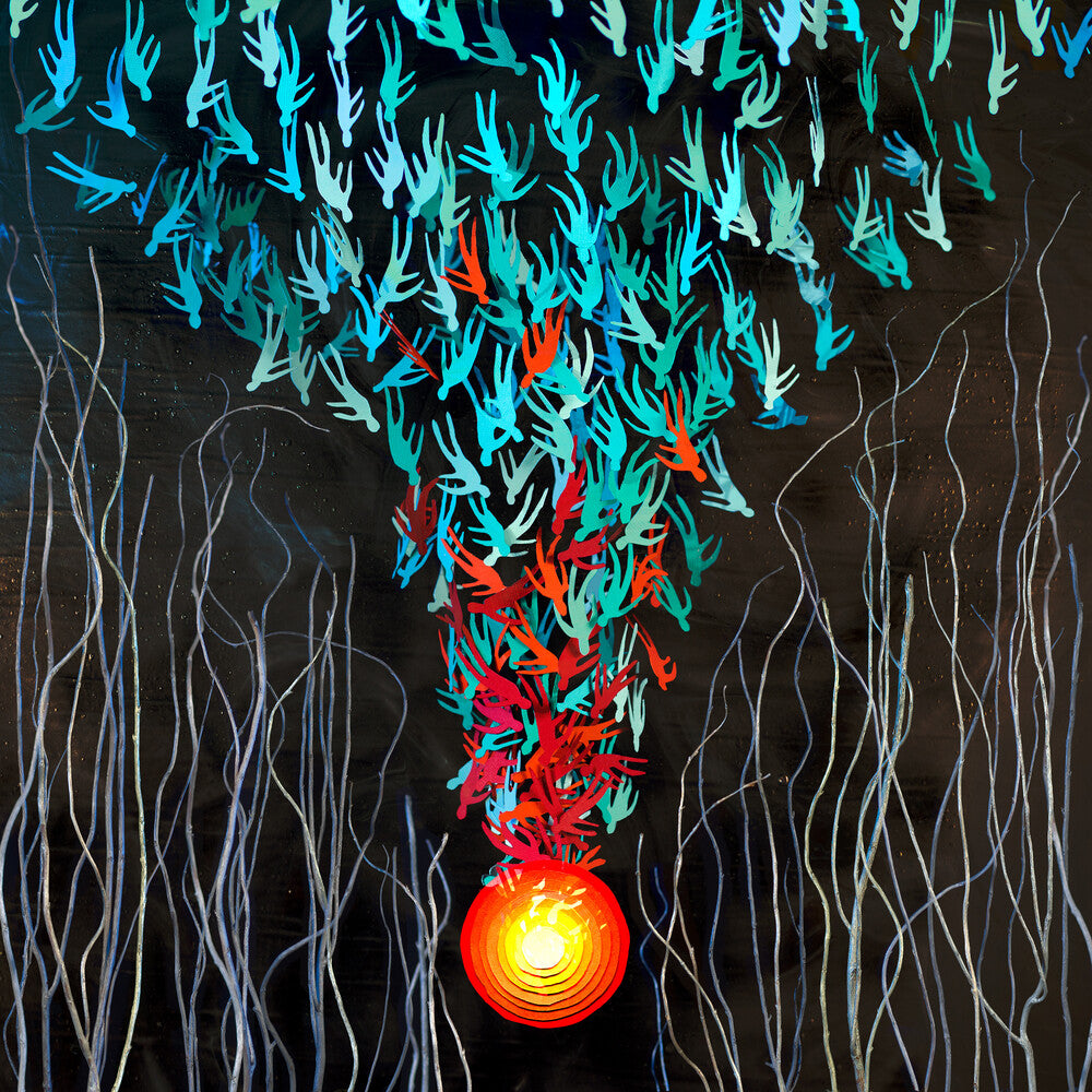 the album cover for Bright Eyes - Down in the Weeds, Where the World Once Was [Indie Exclusive Limited Edition Transparent Red/Orange 2LP]