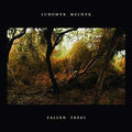 the album cover for Lubomyr Melnyk - Fallen Trees