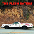 the album cover for The Flesh Eaters - I Used To Be Pretty