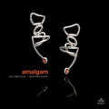 the album cover for Ivo Perelman / Shipp,Matthew - Amalgam