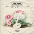 the album cover for Yann Tiersen - Lagniappe Sessions