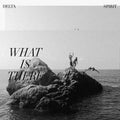 the album cover for Delta Spirit - What Is There