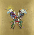 the album cover for Coldplay - The Butterfly Package Live In Buenos Aires/Live In São Paulo/A Head Full Of Dreams Film [2CD/2DVD]