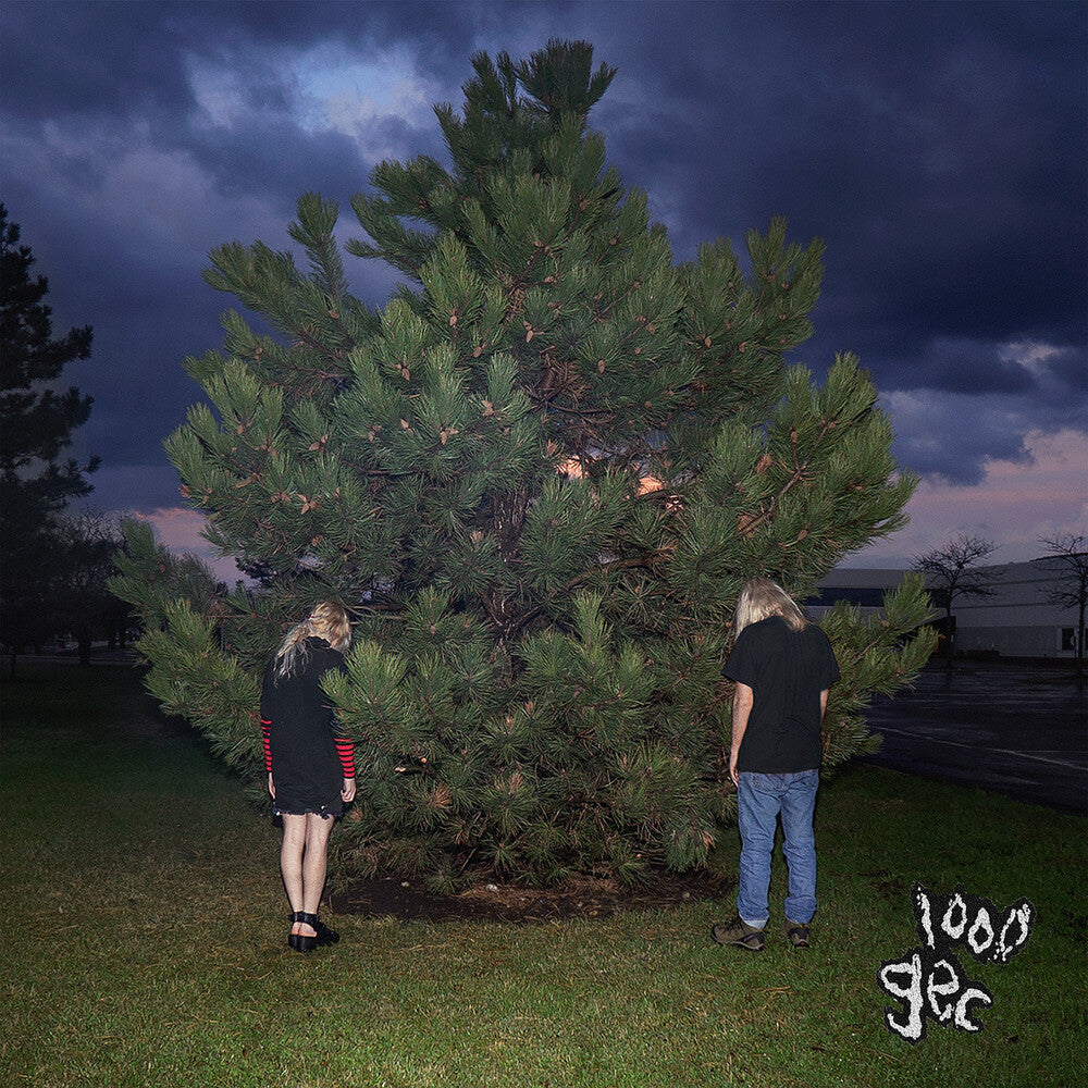the album cover for 100 Gecs - 1000 gecs [LP]