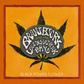 the album cover for Brant Bjork & The Low Desert Punk Band - Black Power Flower