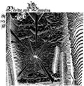 the album cover for Divide And Dissolve - Tfw [Download Included]