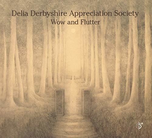 the album cover for Delia Derbyshire Appreciation Society - Wow & Flutter [Digipak]