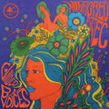 the album cover for Guided By Voices - Mirrored Aztec [LP]