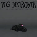 the album cover for Pig Destroyer - The Octagonal Stairway