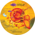 the album cover for Nektar - Remember The Future