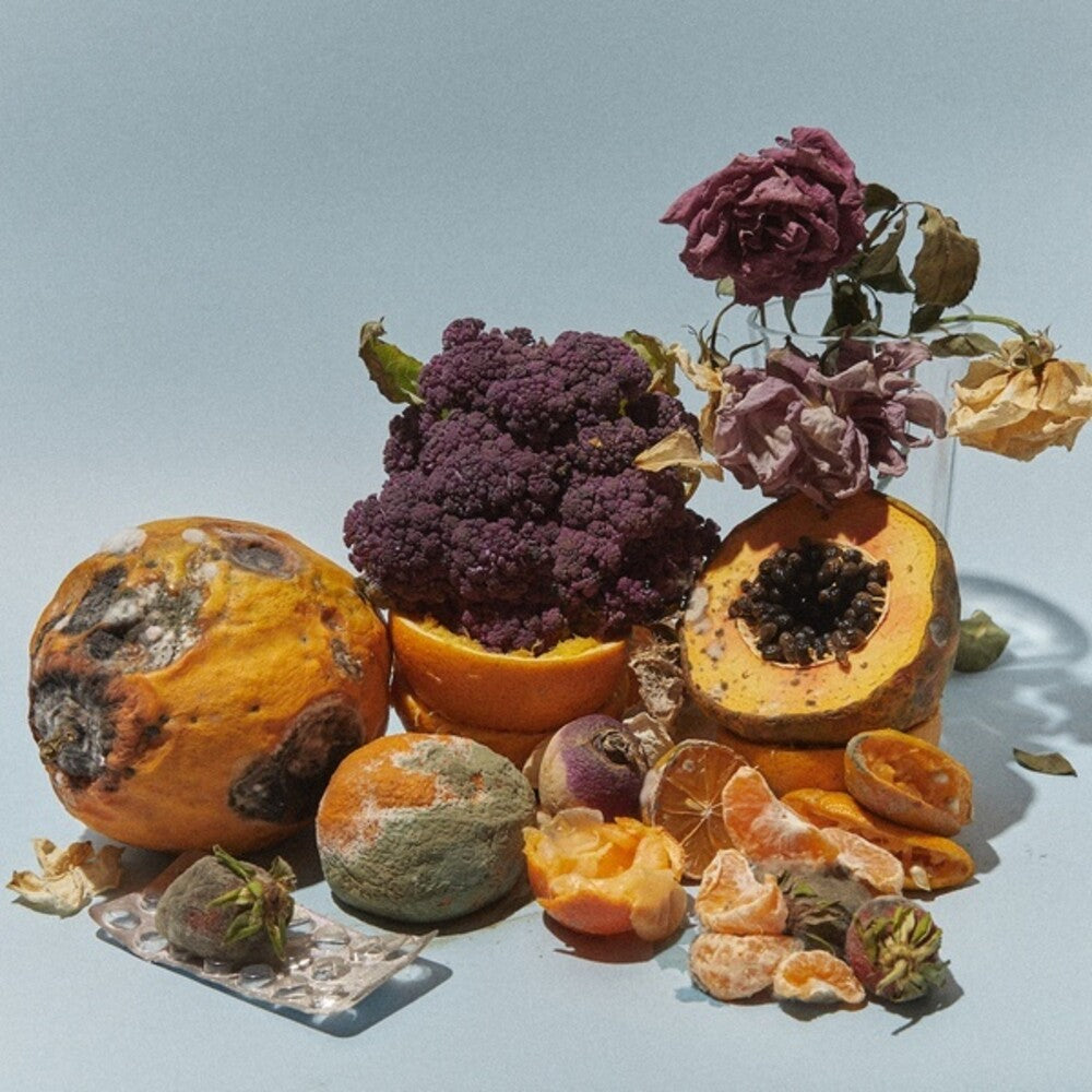 the album cover for Kiko Dinucci - Rastilho