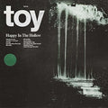 the album cover for Toy - Happy in the Hollow