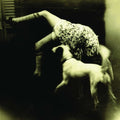 the album cover for Over The Rhine - Good Dog Bad Dog: The Home Recordings