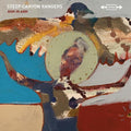 the album cover for Steep Canyon Rangers - Arm In Arm