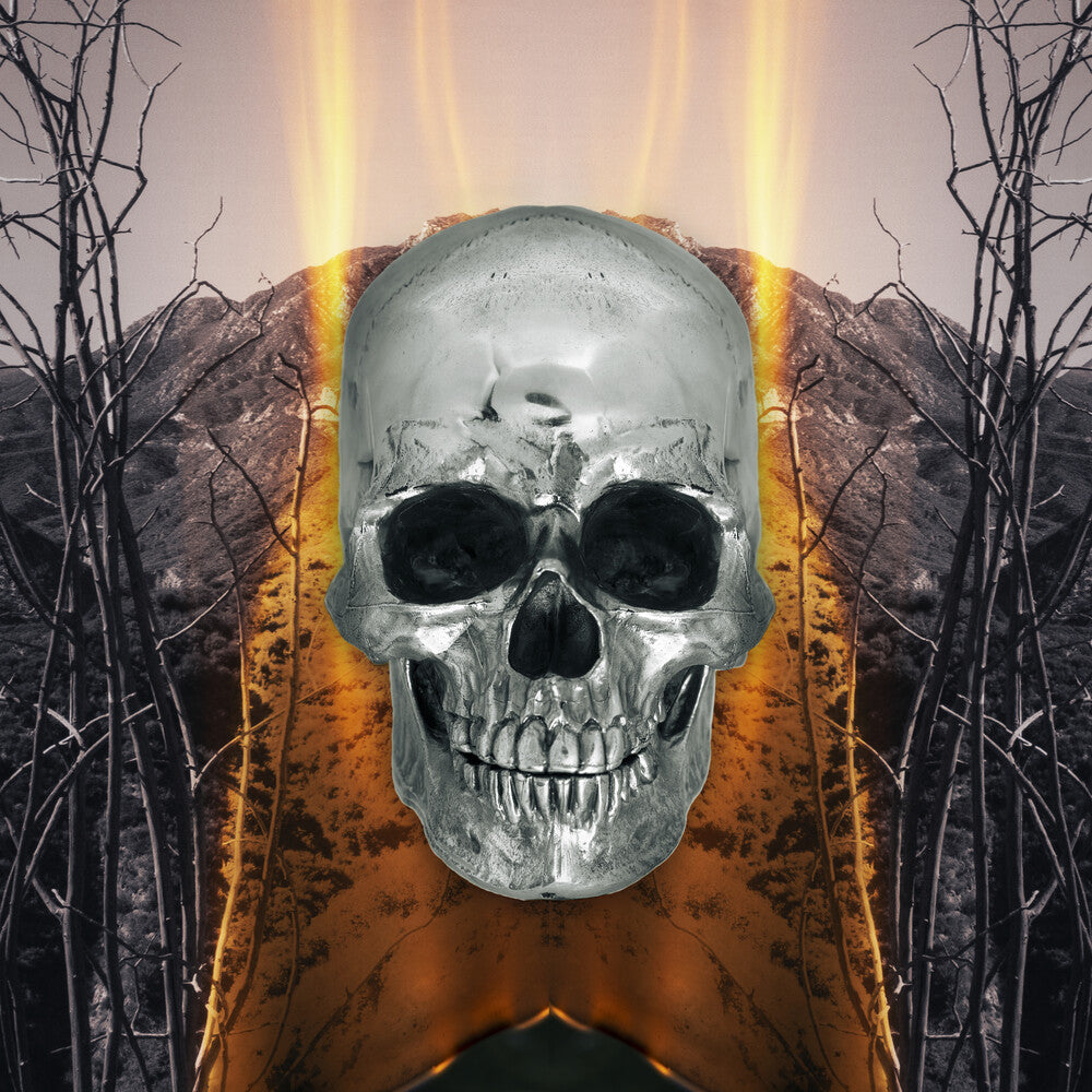 the album cover for Neverly Boys - Dark Side Of Everything
