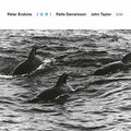 the album cover for Peter Erskine / Danielsson,Palle / Taylor,John - Juni