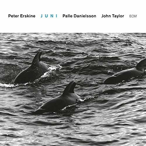 the album cover for Peter Erskine / Danielsson,Palle / Taylor,John - Juni