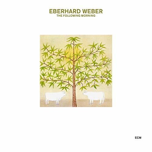 the album cover for Eberhard Weber - The Following Morning