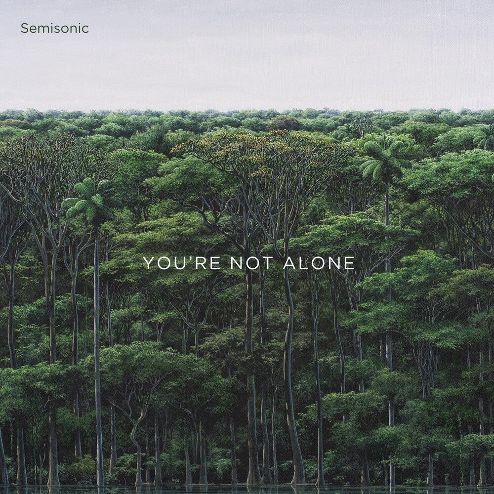 the album cover for Semisonic - You're Not Alone EP [Vinyl]