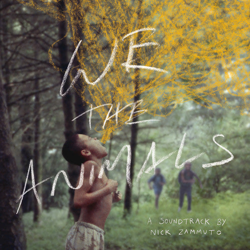 the album cover for Nick Zammuto - We the Animals (Original Soundtrack)