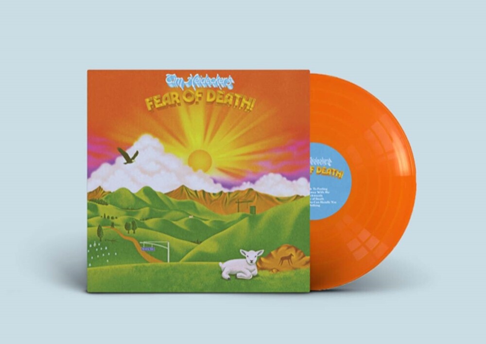 the album cover for Tim Heidecker - Fear of Death [Indie Exclusive Limited Edition Sunset Orange LP]