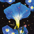 the album cover for Sarah Louise - Nighttime Birds And Morning Stars [Download Included]