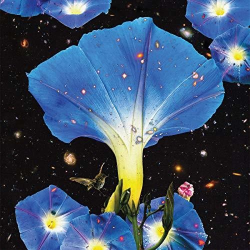 the album cover for Sarah Louise - Nighttime Birds And Morning Stars [Download Included]