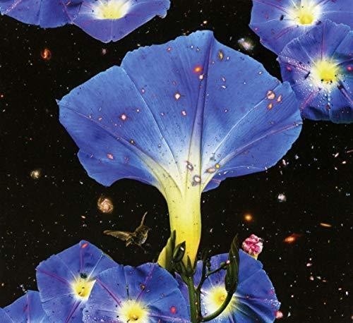 the album cover for Sarah Louise - Nighttime Birds And Morning Stars