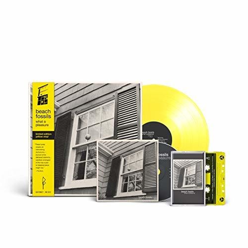the album cover for Beach Fossils - What a Pleasure