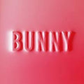 the album cover for Matthew Dear - Bunny [Limited Edition Rainbow Splatter LP]