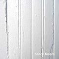 the album cover for Beach Fossils - Beach Fossils