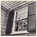 the album cover for Beach Fossils - What a Pleasure