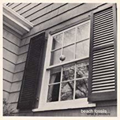 the album cover for Beach Fossils - What a Pleasure
