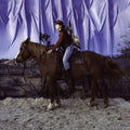 the album cover for The Holy Motors - Horse [Indie Exclusive Limited Edition Metallic Gold LP]