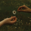 the album cover for Goldmund - The Time it Takes (Transparent Marigold Orange Vinyl)