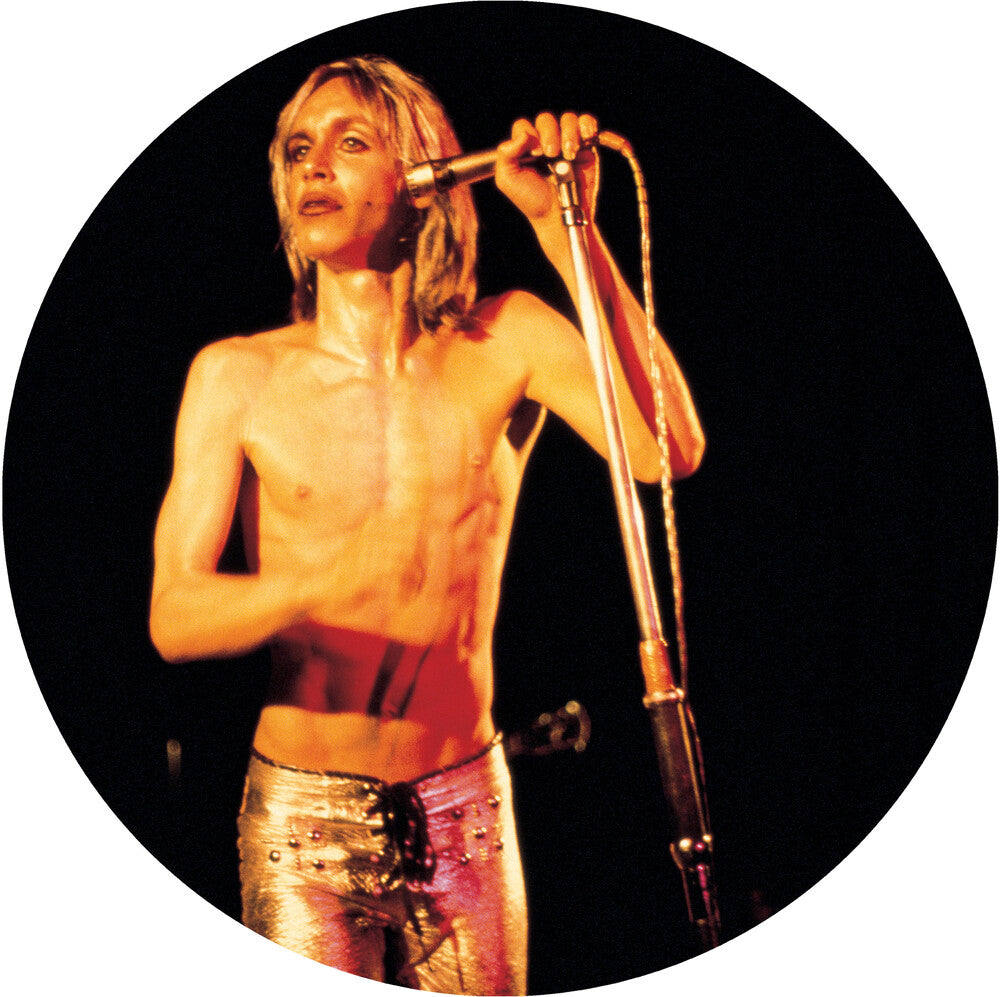 the album cover for Iggy and The Stooges - More Power - A Gorgeous Picture Disc Vinyl