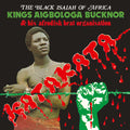 the album cover for Kings Bucknor Aigbologa - Katakata