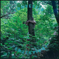the album cover for Tomberlin - Projections [Limited Edition] (Pict)