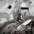 the album cover for David Sylvian - Secrets Of The Beehive
