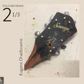 the album cover for Eugene Chadbourne - Solo Guitar Volume 2-1 & 3
