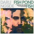 the album cover for Darlingside - Fish Pond Fish