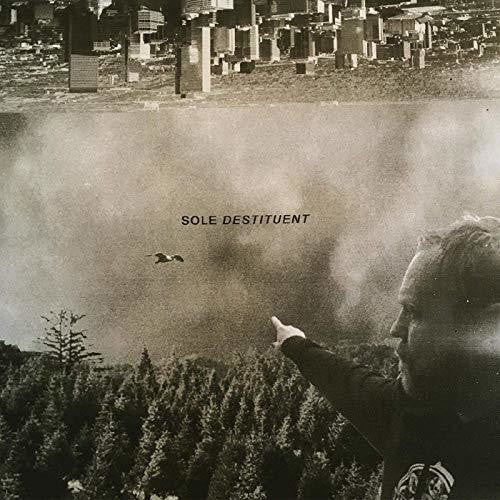 the album cover for Sole - Destituent [LP]