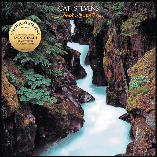 the album cover for Yusuf / Cat Stevens - Back To Earth