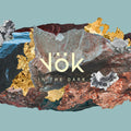 the album cover for Vok - In The Dark