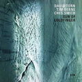the album cover for David Torn / Berne,Tim / Smith,Ches - Sun Of Goldfinger