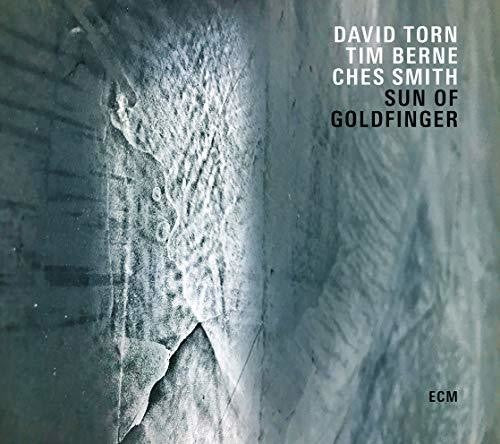 the album cover for David Torn / Berne,Tim / Smith,Ches - Sun Of Goldfinger