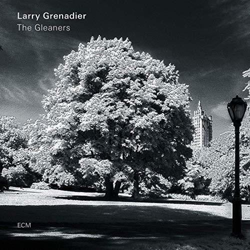 the album cover for Larry Grenadier - The Gleaners